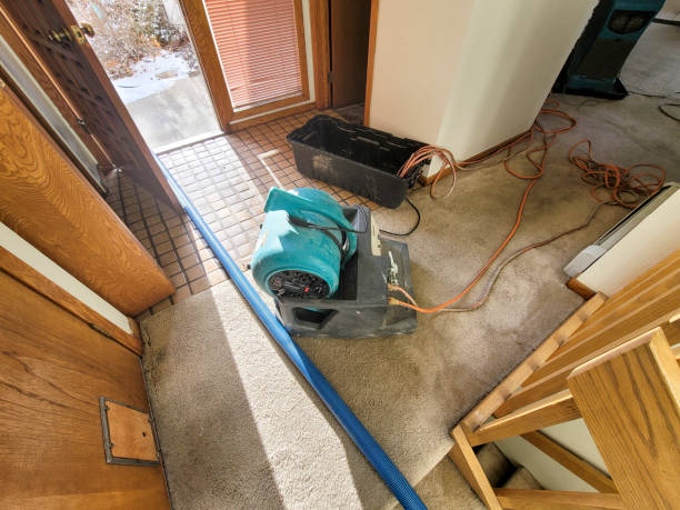 Professional Water damage restoration in TN