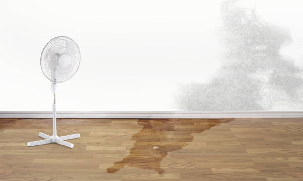 Best Sewage cleanup and water damage restoration  in Fincastle, TN