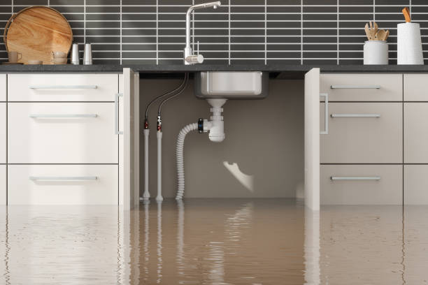 Best Professional water damage repair  in Fincastle, TN