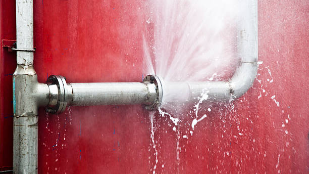 Best Flood restoration services  in Fincastle, TN